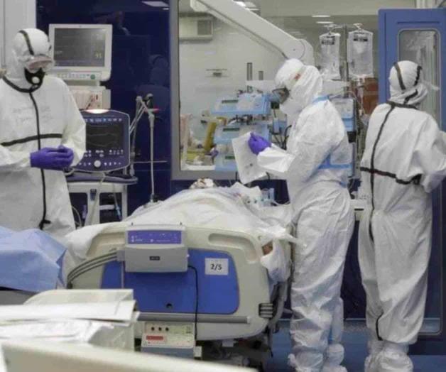 Cobra Covid 648 muertes