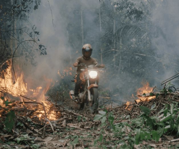 Muy recomendadas Muy recomendadas