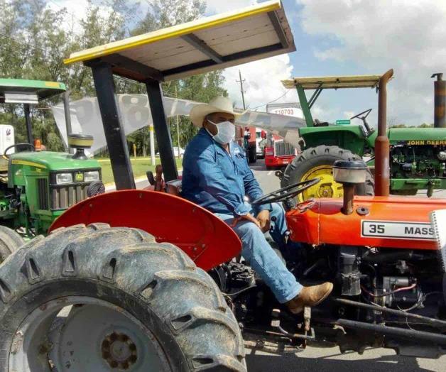 Plagas acaban cultivos Plagas acaban cultivos