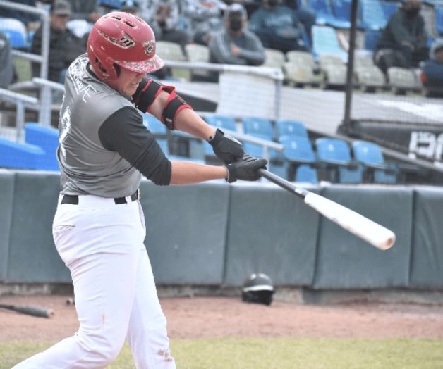 Apalea Snap Gym a la Academia Apalea Snap Gym a la Academia