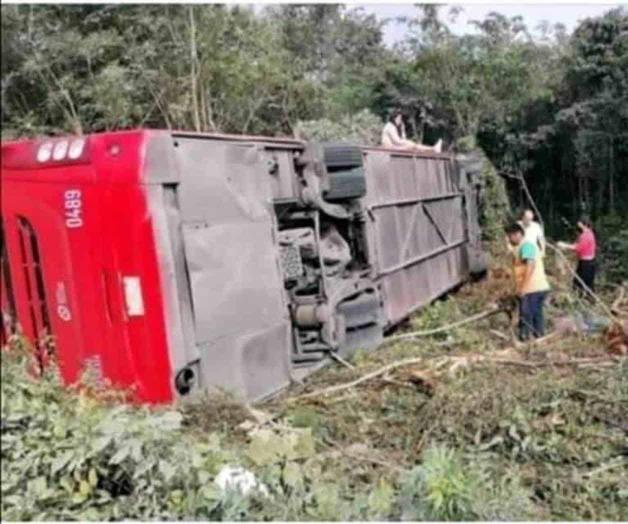 Murieron 3 extranjeros y 5 mexicanos en accidente