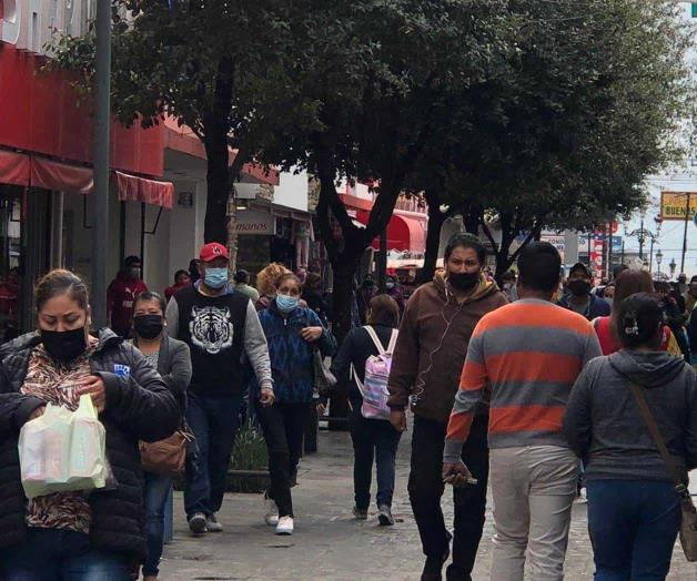 Sale del letargo zona comercial