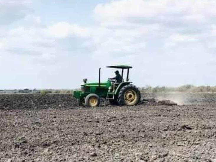 Abandonan al campo nuevas generaciones Abandonan al campo nuevas generaciones