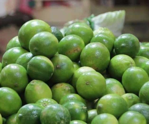 Precio del limón sigue siendo alto