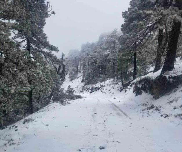 La Sierra se viste de blanco: Cae nieve en Miquihuana