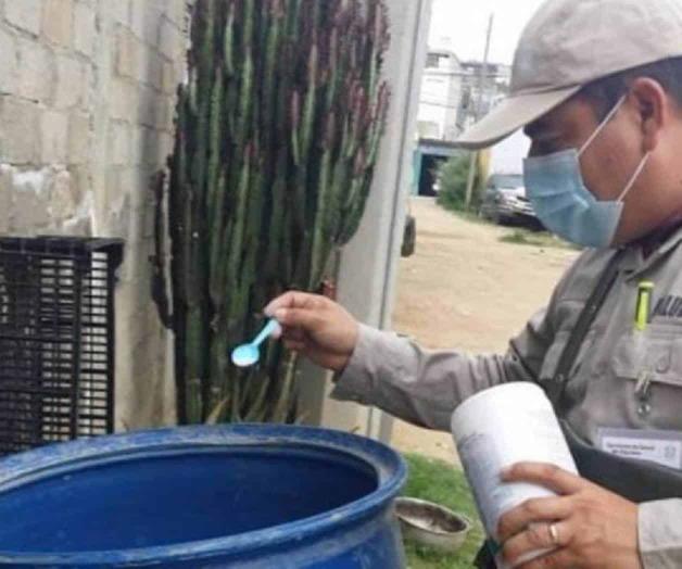 Reportan 12 casos de dengue en Oaxaca; 6 tienen signos de alarma