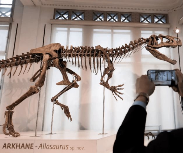 Descubren primera evidencia de un dinosaurio que enfermó de gripe