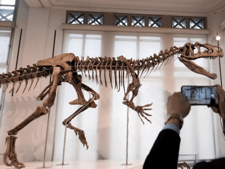 Descubren primera evidencia de un dinosaurio que enfermó de gripe Descubren primera evidencia de un dinosaurio que enfermó de gripe