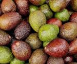Frena importación de aguacate