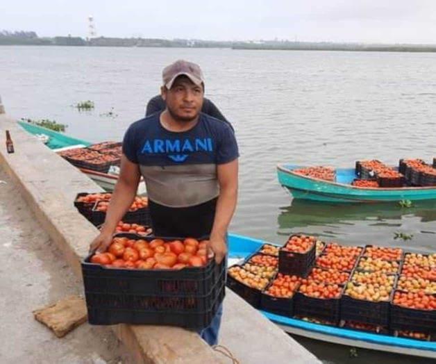 Aumenta producción agrícola