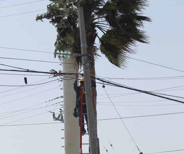 Colapsa cableado por fuertes vientos Colapsa cableado por fuertes vientos