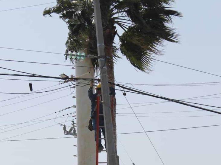 Colapsa cableado por fuertes vientos Colapsa cableado por fuertes vientos