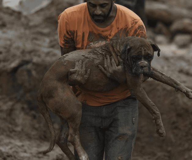 Brasil: Deslaves y lluvias torrenciales dejan 38 muertos Brasil: Deslaves y lluvias torrenciales dejan 38 muertos