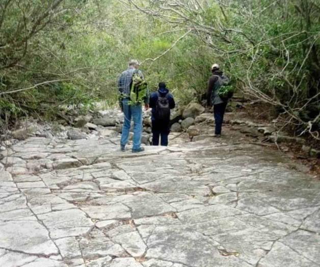 Hallan vestigios ‘jurásicos’ durante excursión en San Carlos