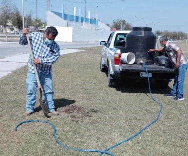 Reforestan Unidad Deportiva B. Juárez Reforestan Unidad Deportiva B. Juárez
