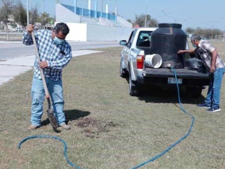 Reforestan Unidad Deportiva B. Juárez Reforestan Unidad Deportiva B. Juárez