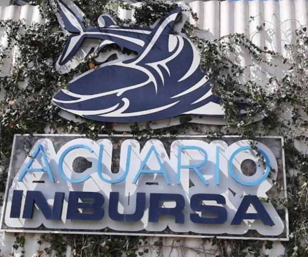 Bióloga marina muere ahogada en el Acuario Inbursa