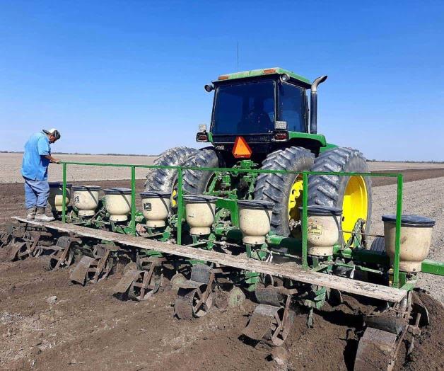 Amplían fecha para siembra de maíz