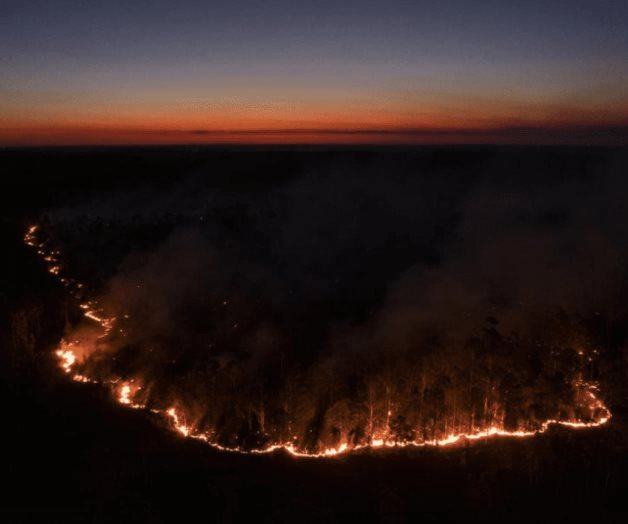Argentina: fuego amenaza a refugio de vida silvestre