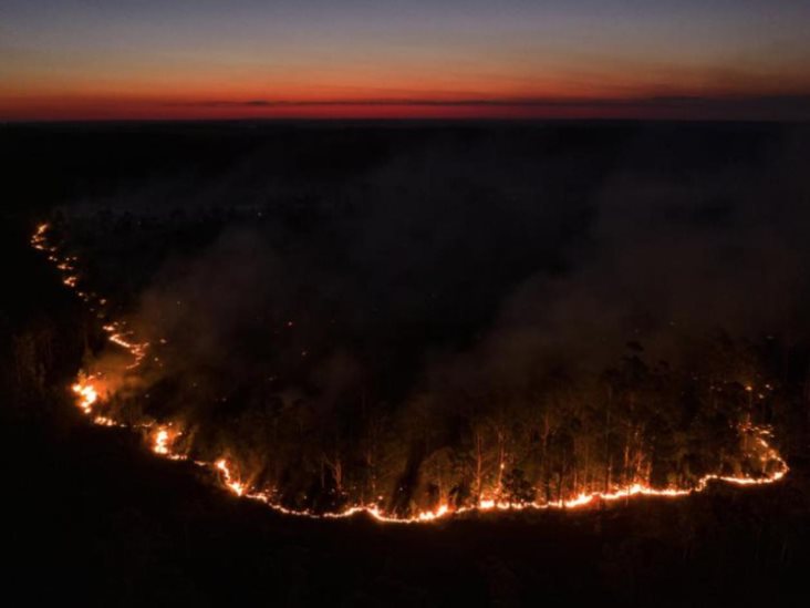 Argentina: fuego amenaza a refugio de vida silvestre Argentina: fuego amenaza a refugio de vida silvestre