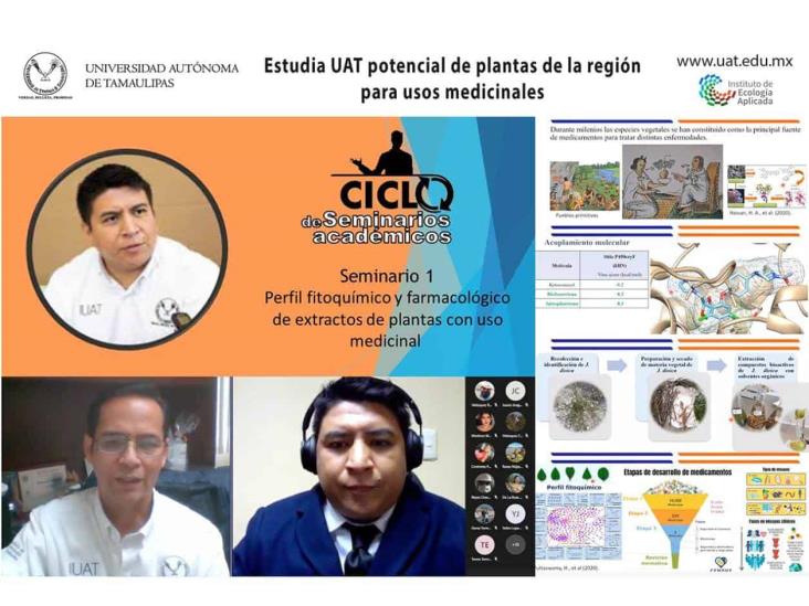 Estudian potencial de plantas medicinales Estudian potencial de plantas medicinales