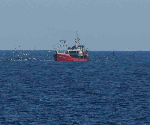 Localizan a embarcación tiburonera Localizan a embarcación tiburonera