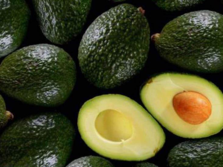 Explican crisis del aguacate Explican crisis del aguacate