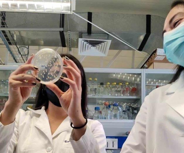 ¿Derrame de petróleo? ¡Llamen a las bacterias!