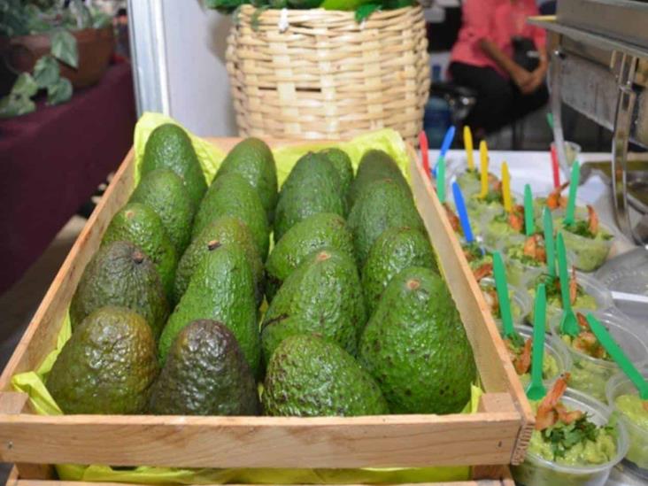 Aguacate reanuda venta... pero con precio al alza Aguacate reanuda venta... pero con precio al alza
