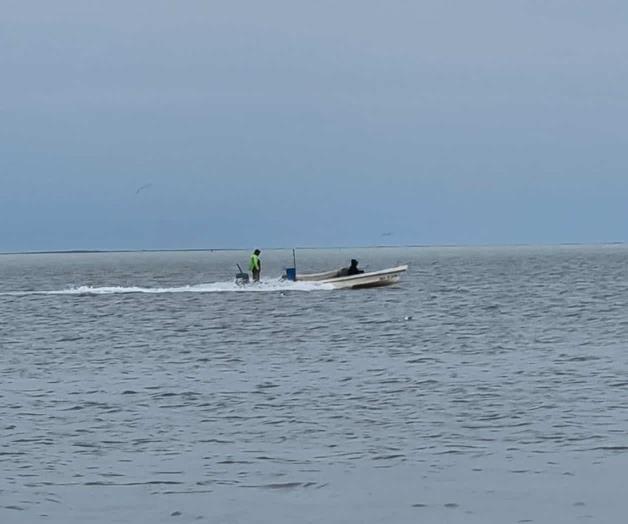 Surada podría mejorar captura de especies