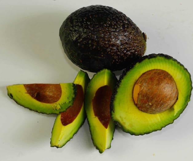 Prevén exportación de aguacate a EU en mayo Prevén exportación de aguacate a EU en mayo