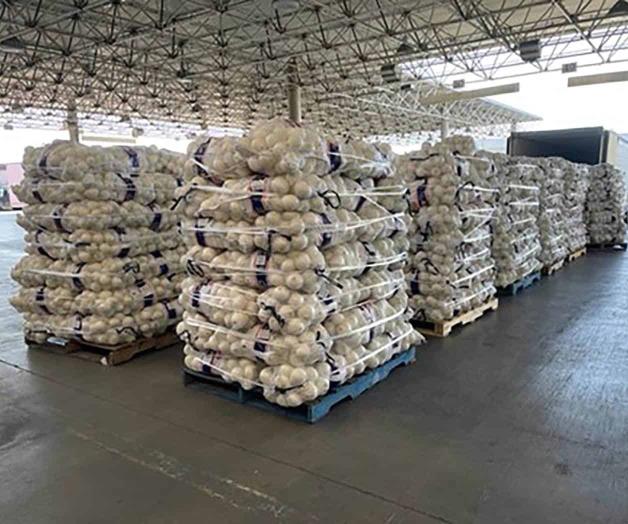 Decomisan metanfetamina en cargamento de cebollas Decomisan metanfetamina en cargamento de cebollas