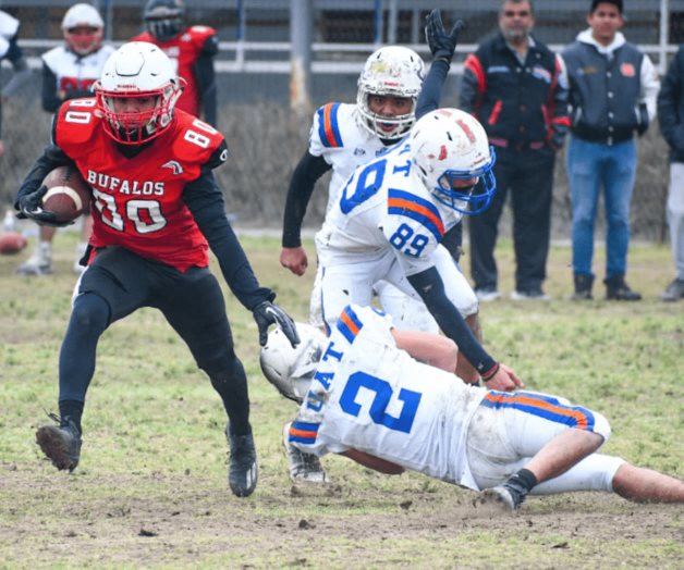 Regresan los Búfalos