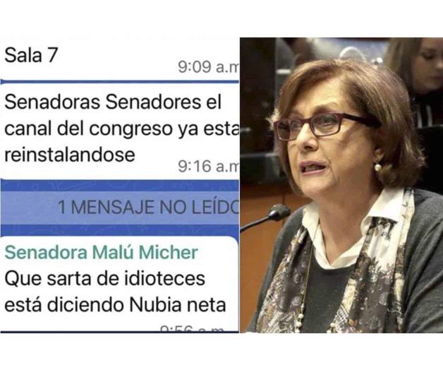 Se dan Senadoras agarrón en Chat