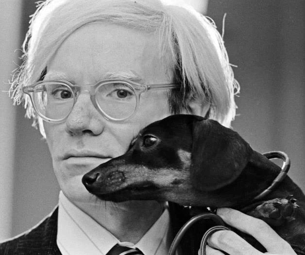 Magnético y repelente