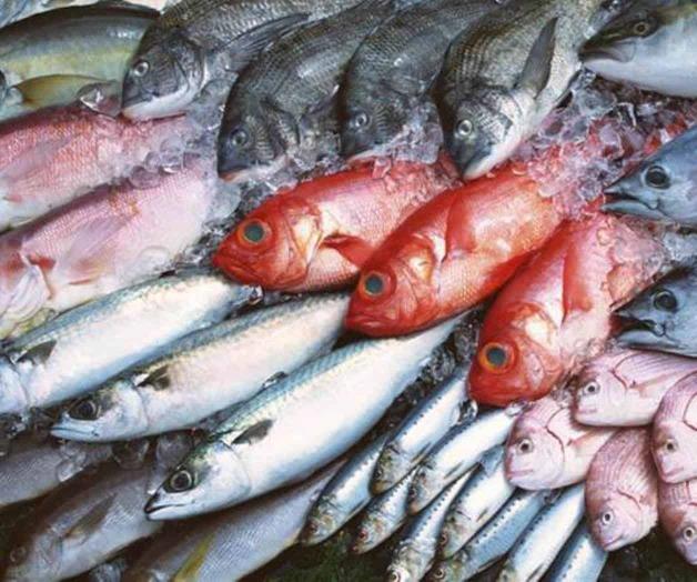 Estos son los pescados más baratos y los más caros, según Profeco