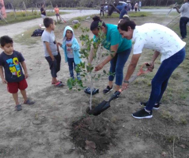 Reforestan áreas de la Laguna Madre