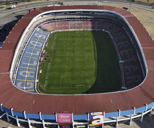 Gallos blancos penden de un hilo Gallos blancos penden de un hilo