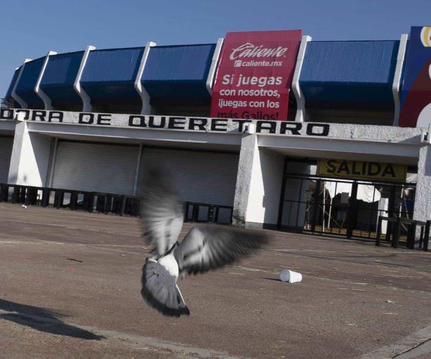 Querétaro está de luto Querétaro está de luto