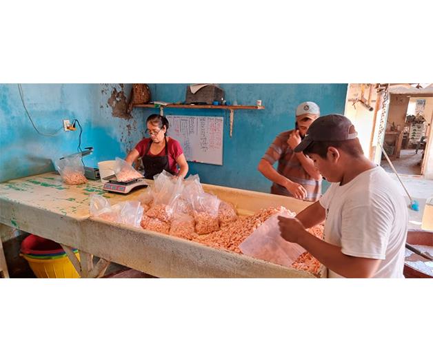 Preocupa desplome en captura de camarón para cuaresma