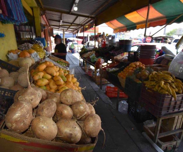 Descartan desabasto de alimentos Descartan desabasto de alimentos