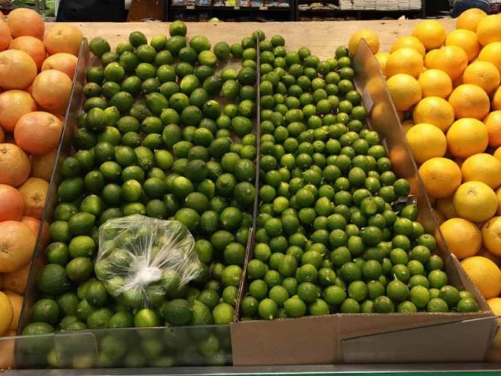 Aguacate ‘vale oro’; desplaza al limón Aguacate ‘vale oro’; desplaza al limón