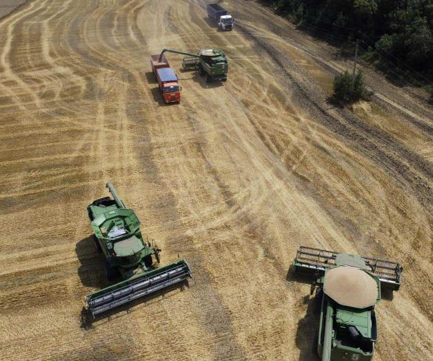 Afectará invasión rusa la importación de cereales Afectará invasión rusa la importación de cereales