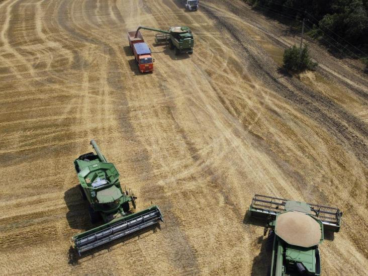 Afectará invasión rusa la importación de cereales Afectará invasión rusa la importación de cereales