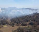 Afectan a La Primavera tres incendios forestales