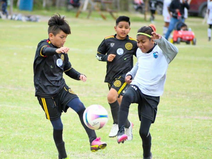 Limufut Reynosa, nuevo campeón Limufut Reynosa, nuevo campeón