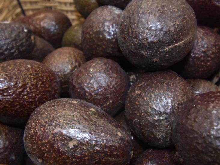 Sin freno los precios del limón y aguacate Sin freno los precios del limón y aguacate