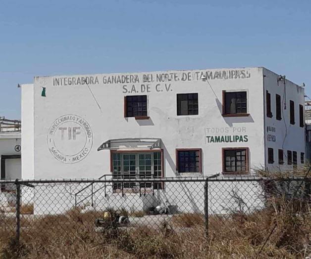 Nula matanza de ganado; descartan exista desabasto