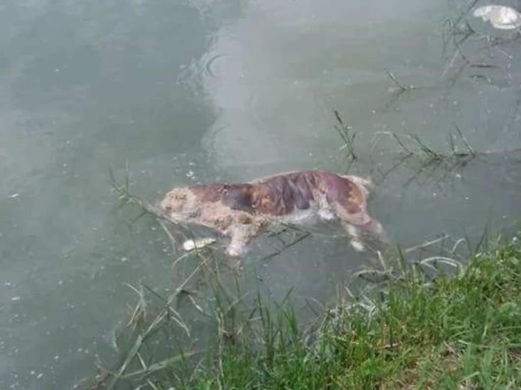 Piden evitar contaminar agua de canal Piden evitar contaminar agua de canal