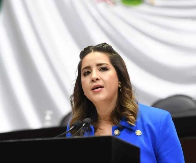 Propone panista quitar IVA a pañales Propone panista quitar IVA a pañales